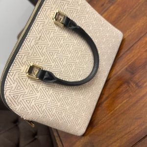 Aldo purse